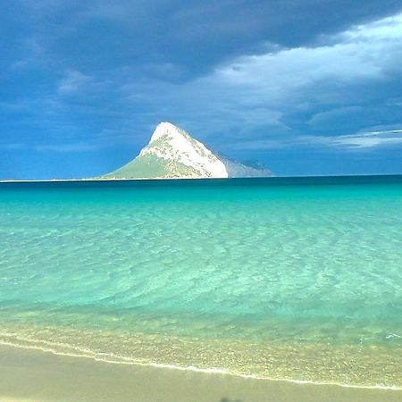 Frina Di Mari B&B San Teodoro  Dış mekan fotoğraf