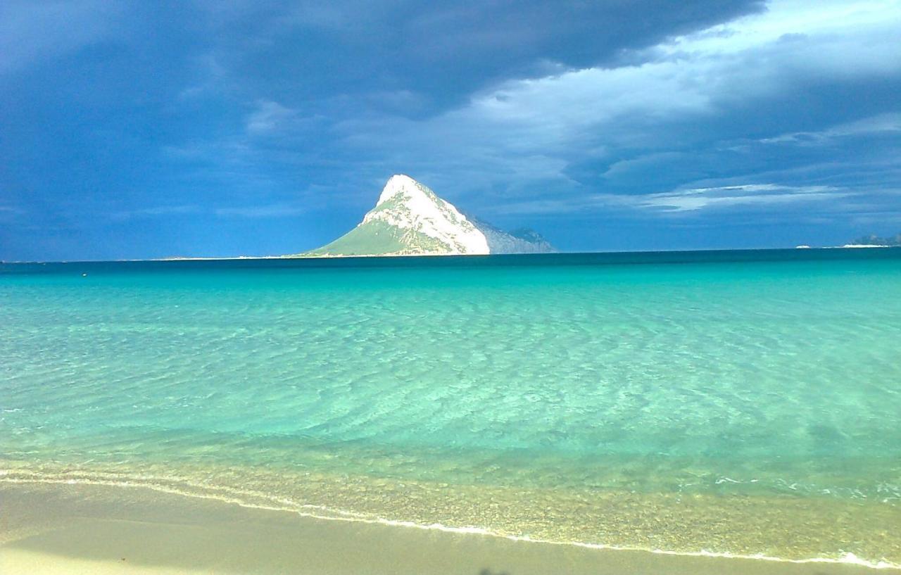 Frina Di Mari B&B San Teodoro  Dış mekan fotoğraf