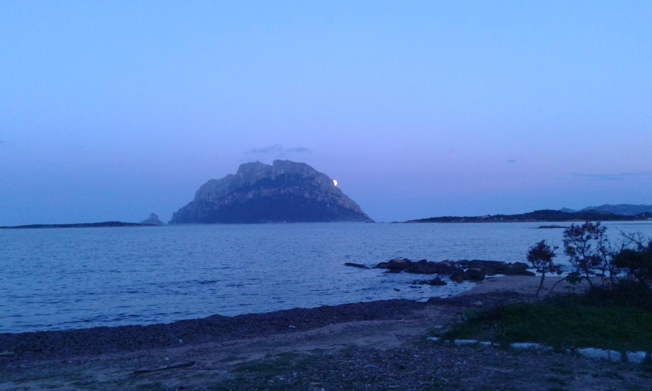 Frina Di Mari B&B San Teodoro  Dış mekan fotoğraf