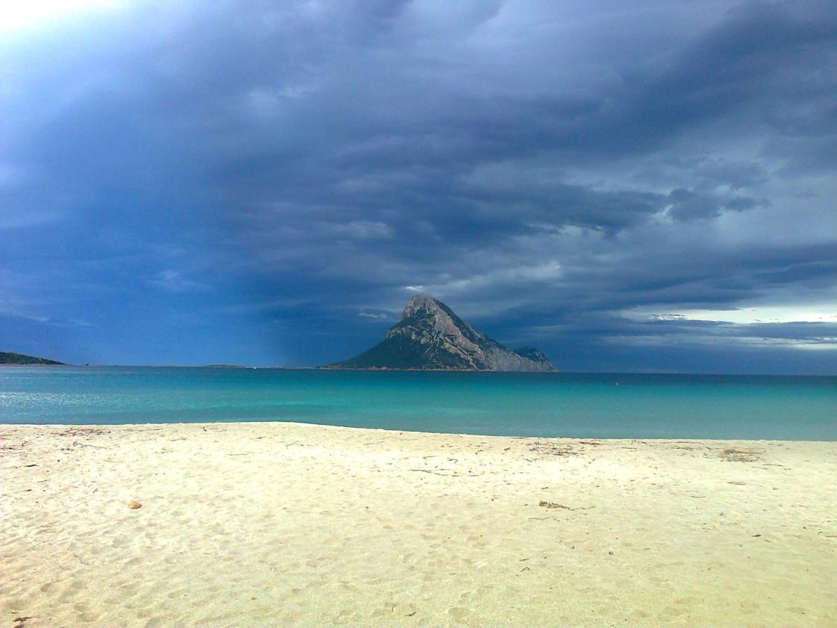 Frina Di Mari B&B San Teodoro  Dış mekan fotoğraf