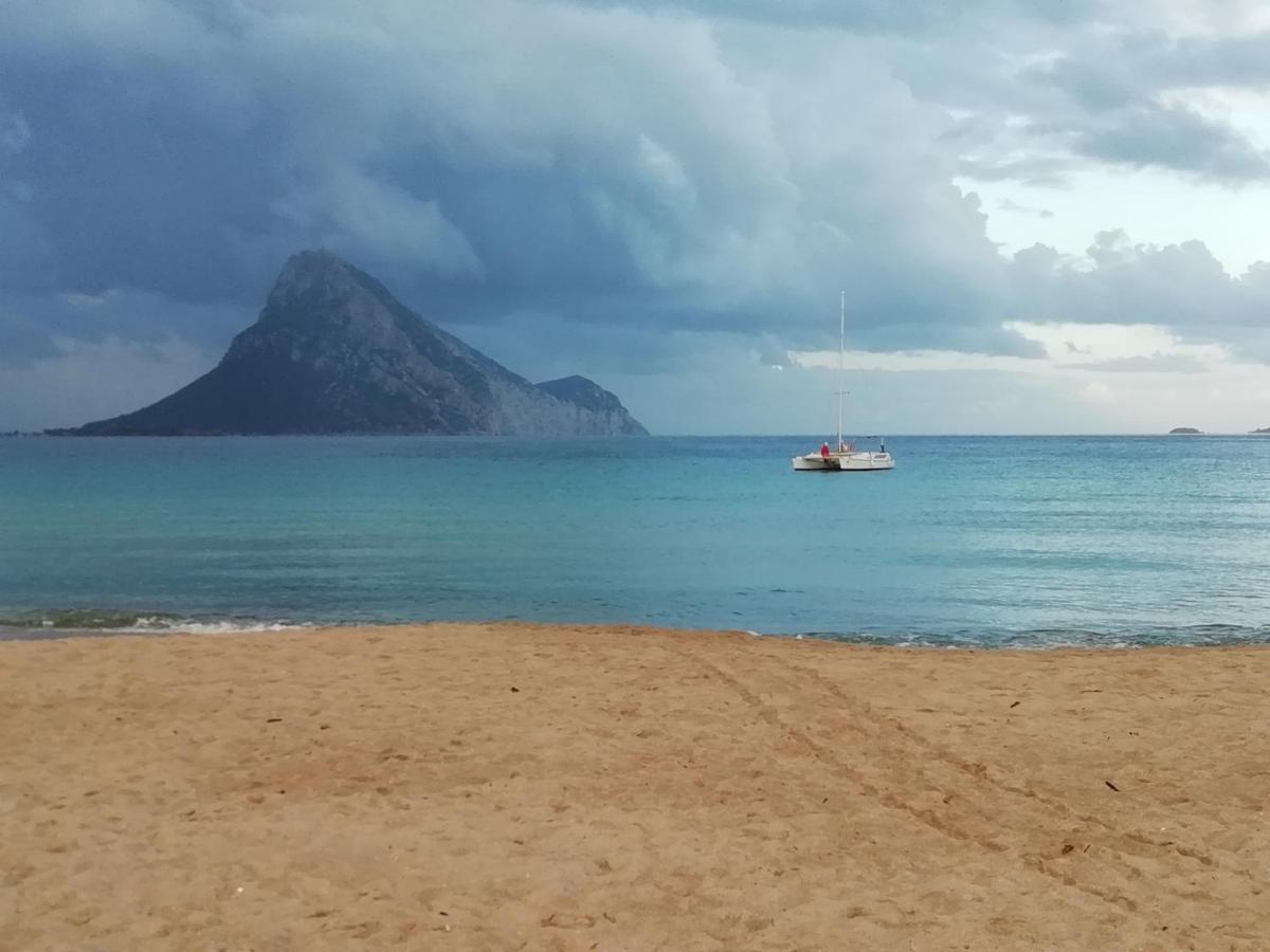 Frina Di Mari B&B San Teodoro  Dış mekan fotoğraf
