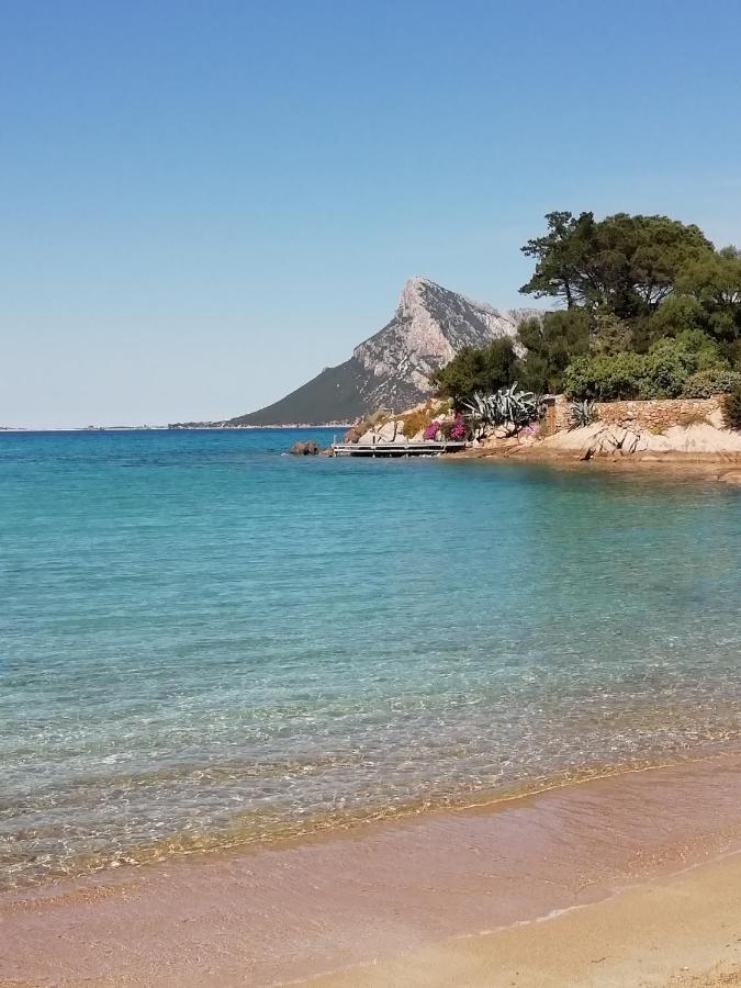 Frina Di Mari B&B San Teodoro  Dış mekan fotoğraf