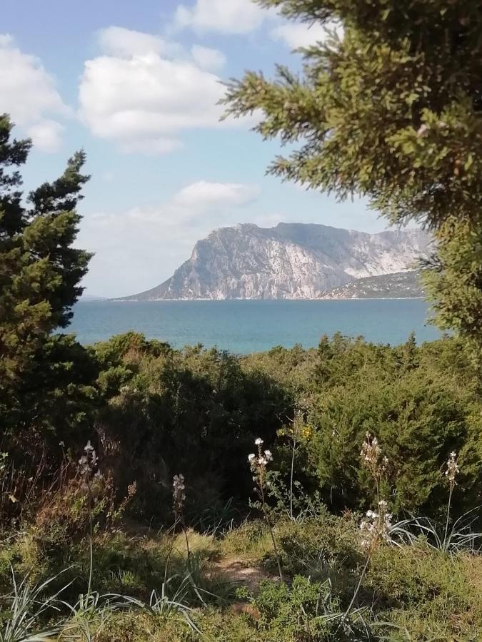 Frina Di Mari B&B San Teodoro  Dış mekan fotoğraf